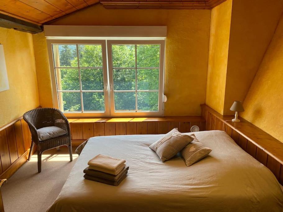 Ferme De Chenezeau - 15 Personnes , 7 Chambres Gérardmer Dış mekan fotoğraf