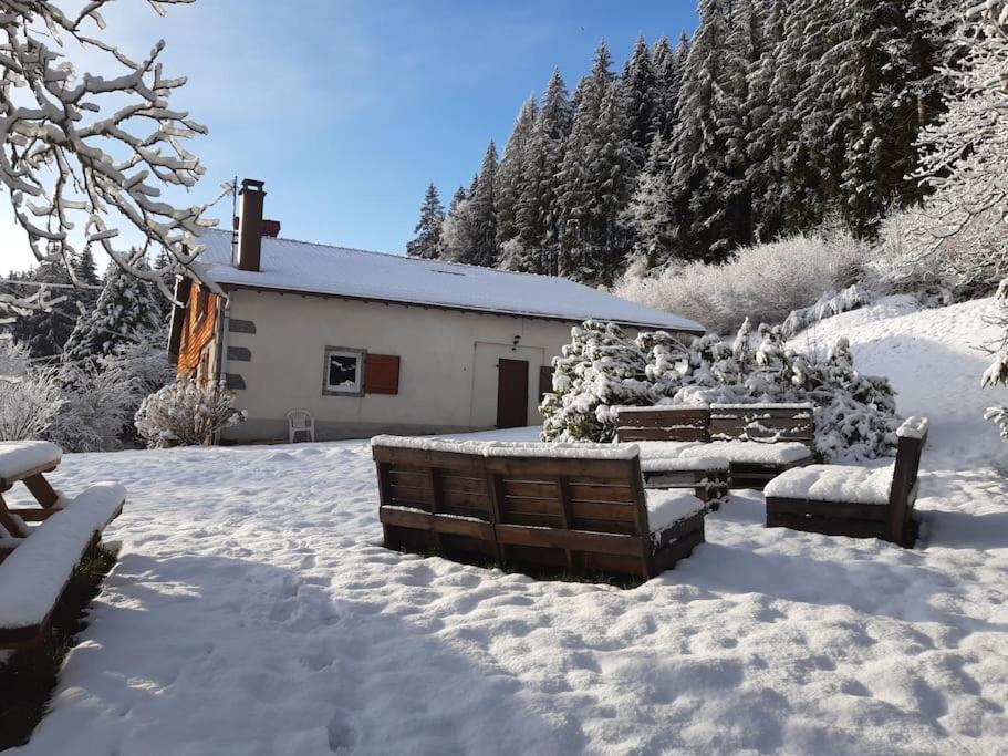 Ferme De Chenezeau - 15 Personnes , 7 Chambres Gérardmer Dış mekan fotoğraf