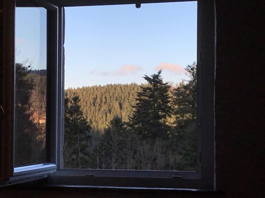 Ferme De Chenezeau - 15 Personnes , 7 Chambres Gérardmer Dış mekan fotoğraf