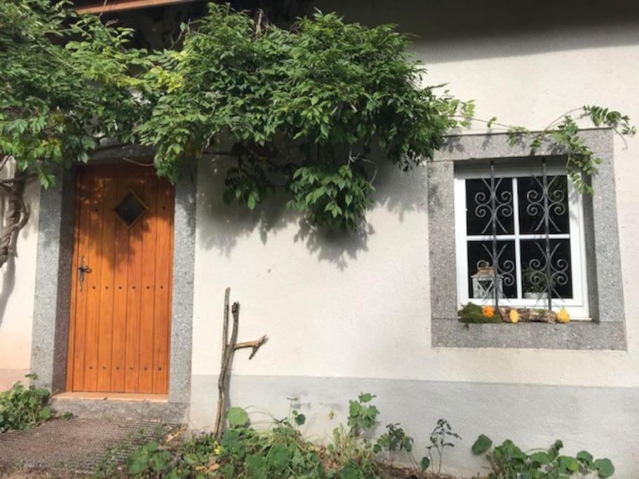 Ferme De Chenezeau - 15 Personnes , 7 Chambres Gérardmer Dış mekan fotoğraf
